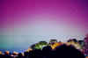 aurora1trees.jpg (59050 bytes)
