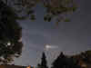 moondog2.jpg (448899 bytes)